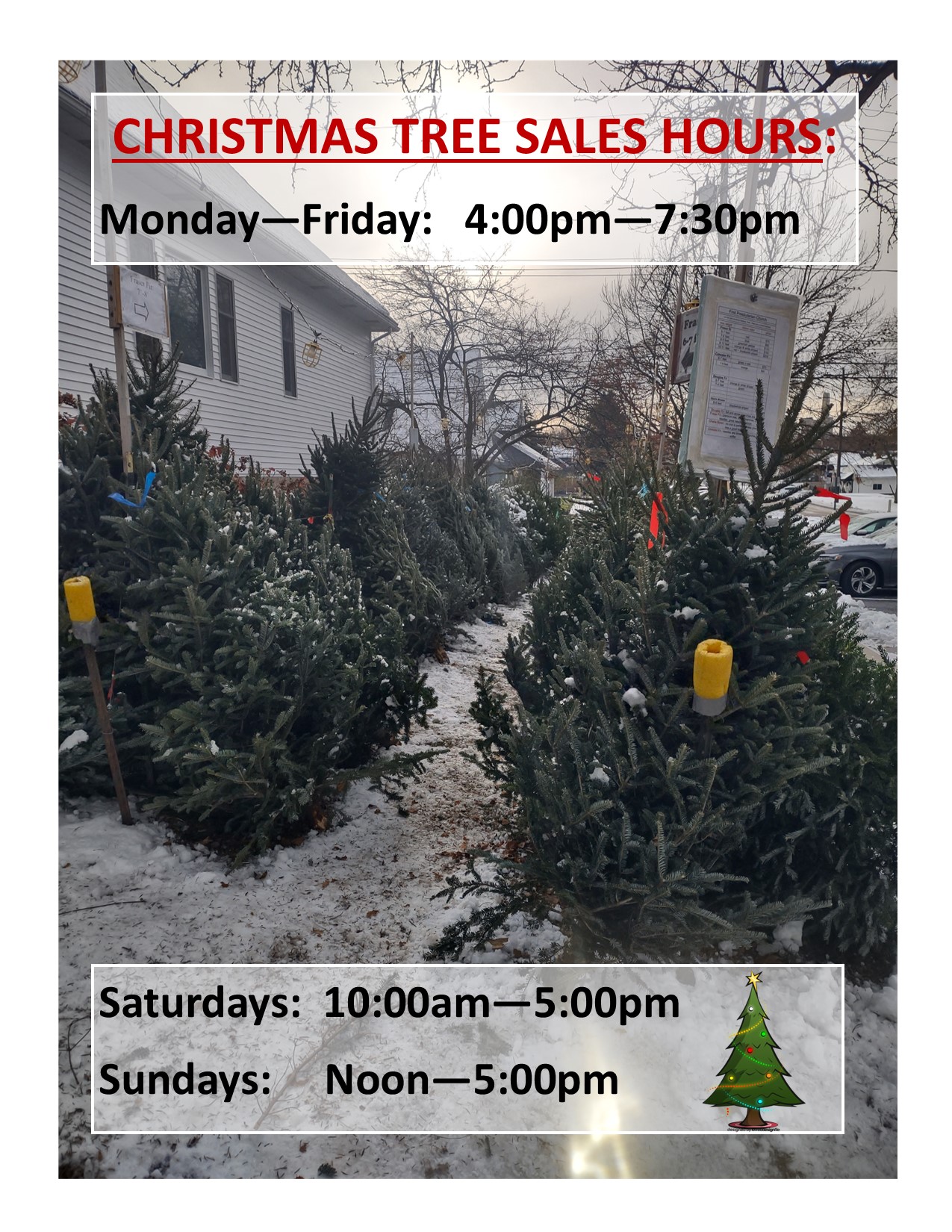 2025 xmas tree sales